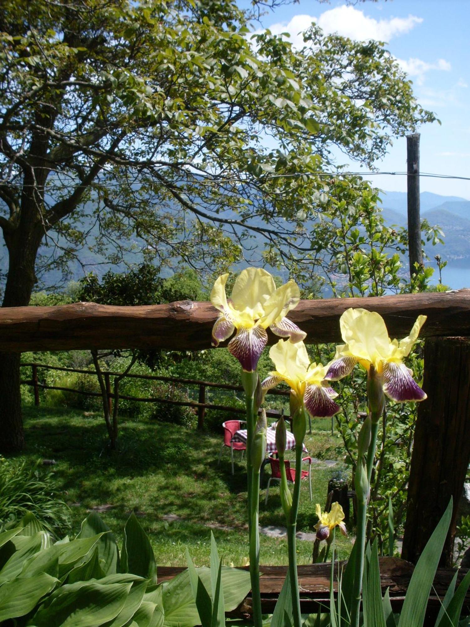 Agriturismo Da Attilio 카노비오 외부 사진
