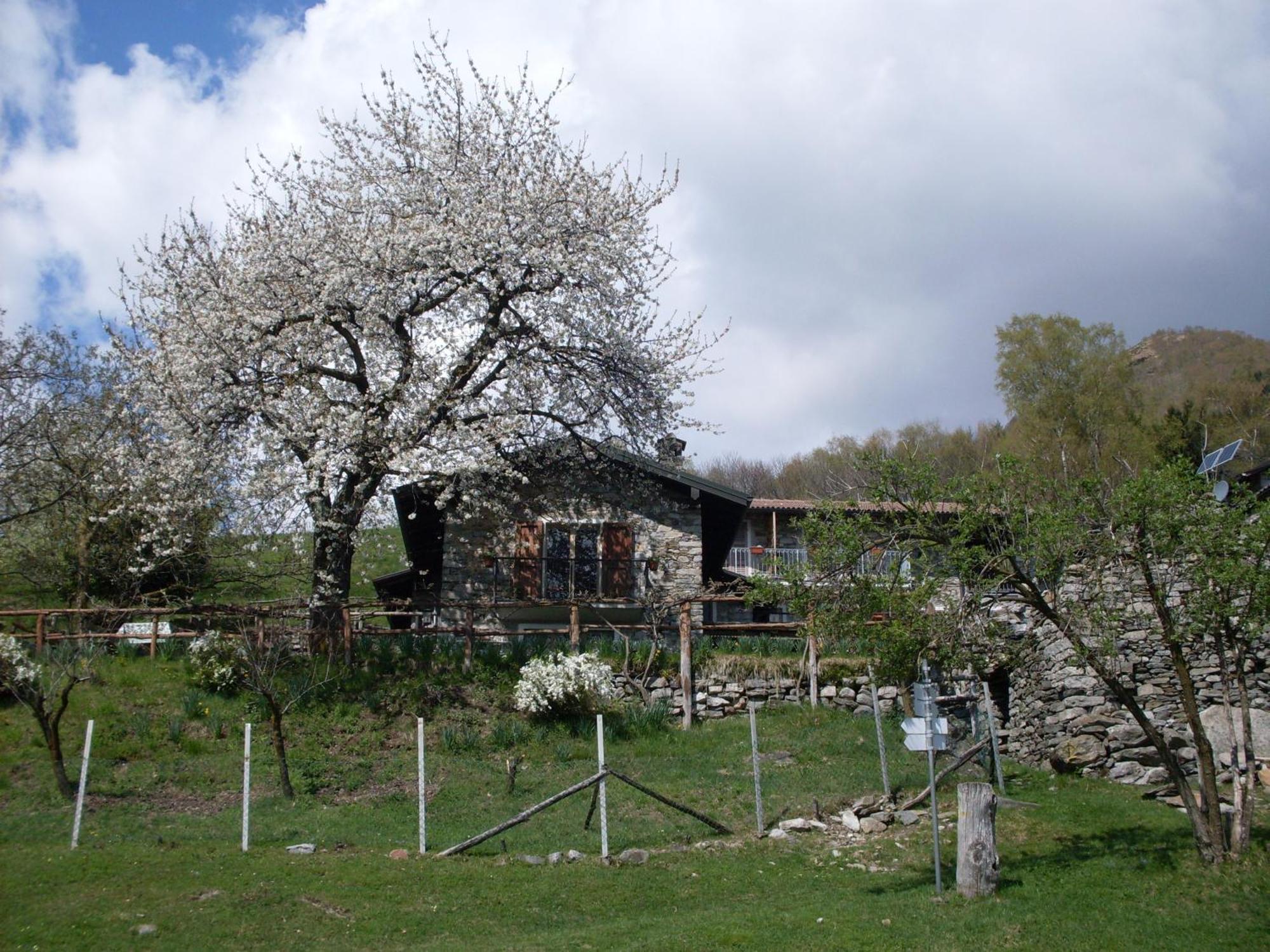 Agriturismo Da Attilio 카노비오 외부 사진