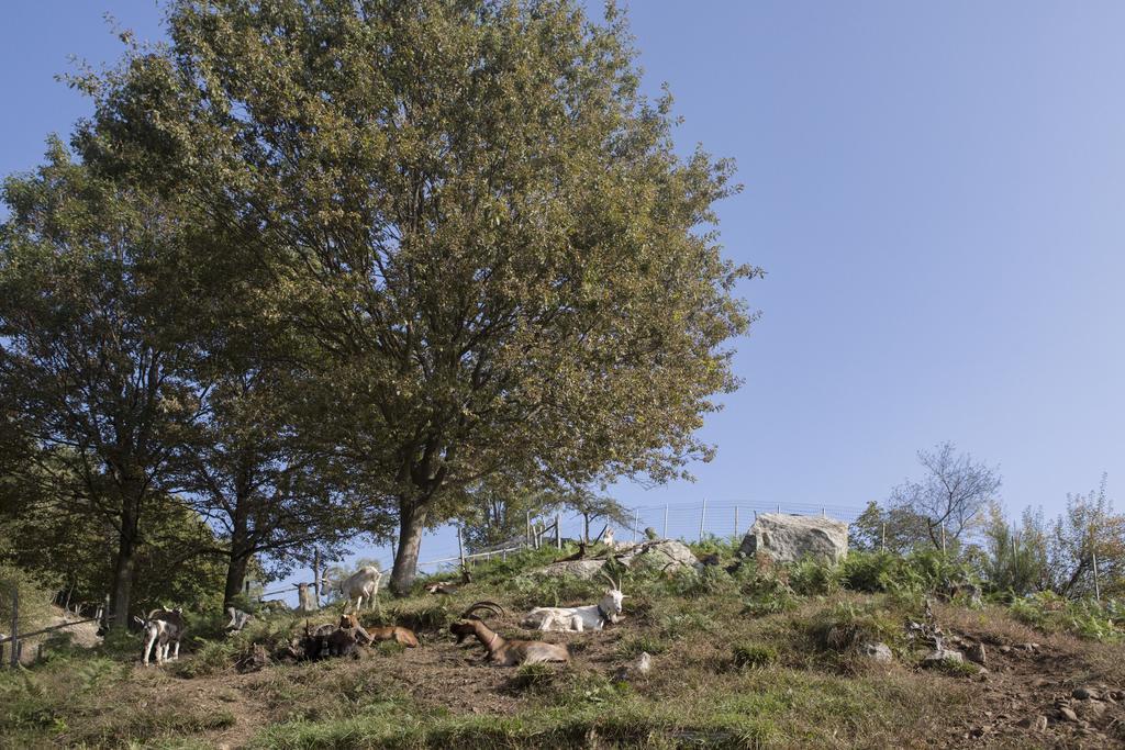 Agriturismo Da Attilio 카노비오 외부 사진