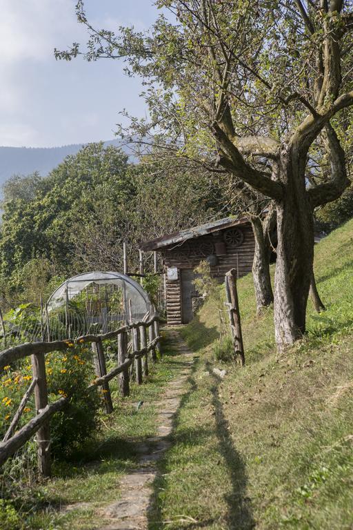 Agriturismo Da Attilio 카노비오 외부 사진