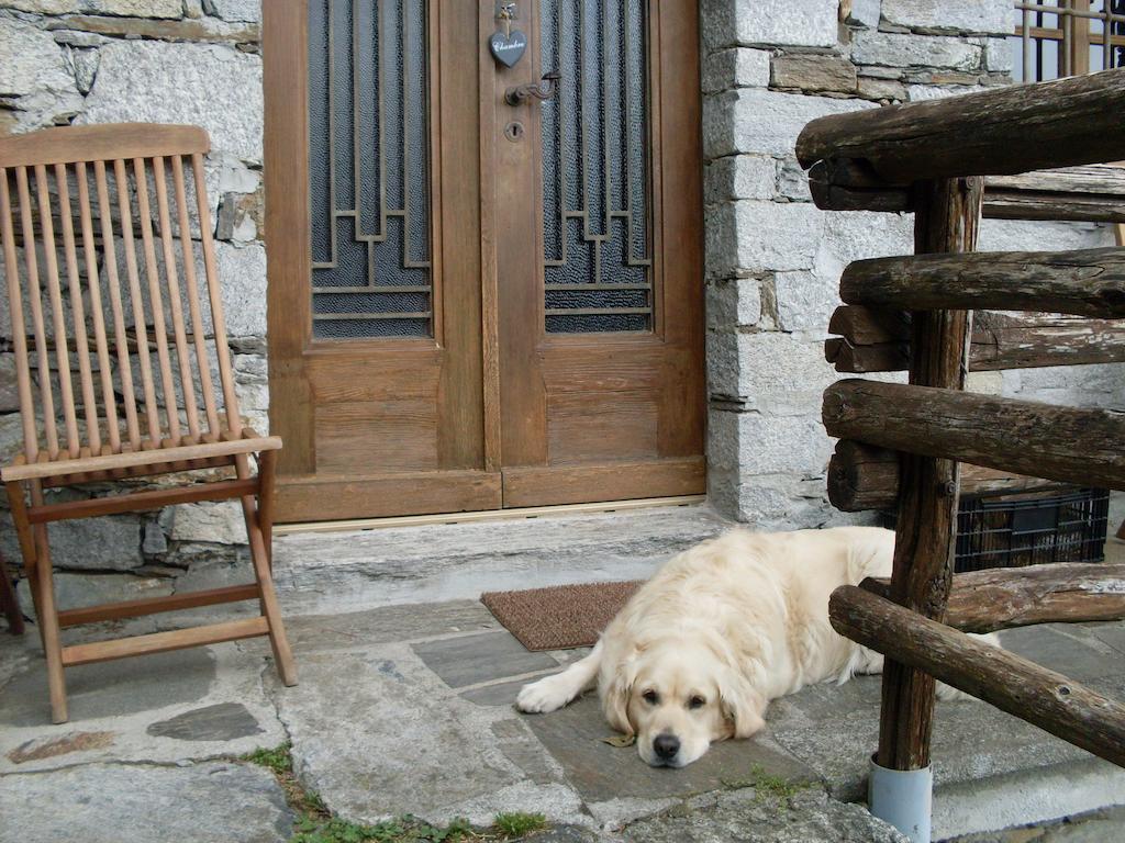 Agriturismo Da Attilio 카노비오 객실 사진