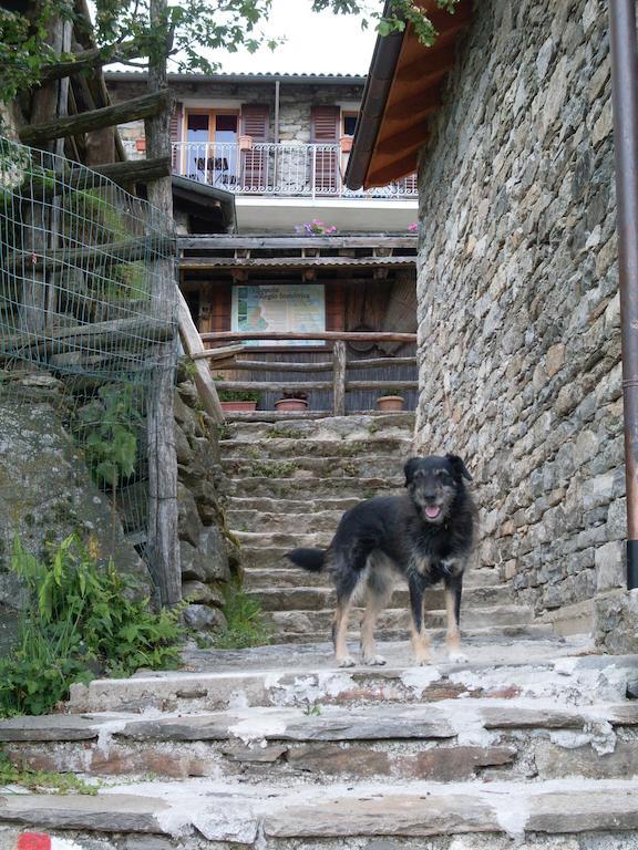 Agriturismo Da Attilio 카노비오 외부 사진